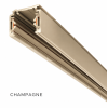 1836334 RAIL 1-FASE MINI 230V 2M CHAMPANGE