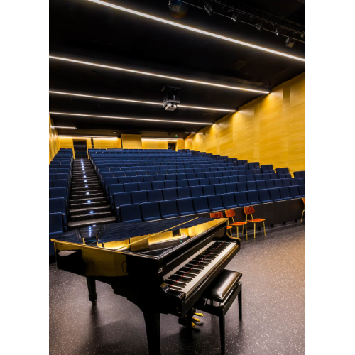 103459 PROLINE 60 PND UP/DN 16500Lm/830 DALI+S 9005