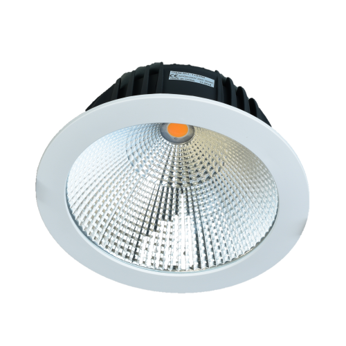 DOWNLIGHT VAST TD219