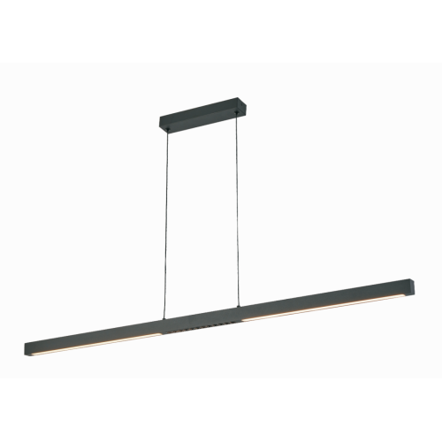 HANG LAMP BLOOM LINE