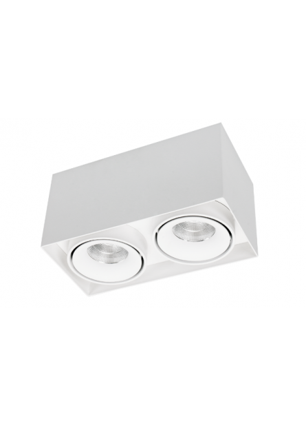OPBOUW DOWNLIGHTER CAJA LED 2-LICHTS