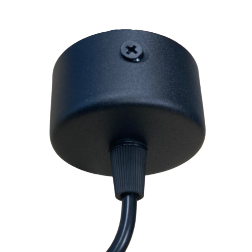 202601 HANGLAMP BUIS ZWART