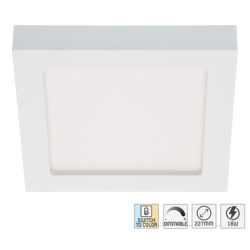 520005 LED PANEEL IN/OPBOUW VIERKANT 18W